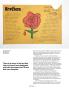 Page: - 120 | Aperture