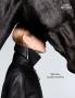 Page: - 138 | Aperture