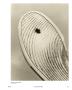 Page: - 141 | Aperture