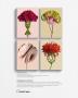 Page: - 2 | Aperture