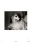 Page: - 60 | Aperture