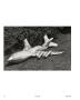 Page: - 94 | Aperture