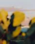 Page: - 2 | Aperture