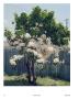 Page: - 36 | Aperture