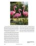 Page: - 93 | Aperture
