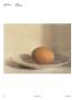 Page: - 100 | Aperture