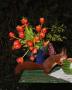 Page: - 60 | Aperture