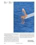 Page: - 73 | Aperture