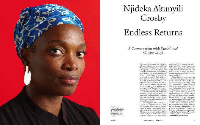Njideka Akunyili Crosby Endless Returns