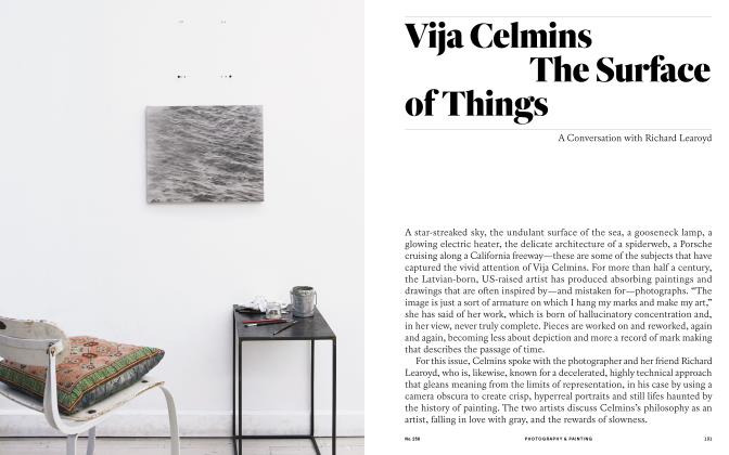 Vija Celmins The Surface Of Things