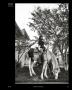 Page: - 121 | Aperture