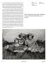 Page: - 46 | Aperture