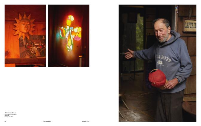 Gayatri Ganju The Pregnant Tree